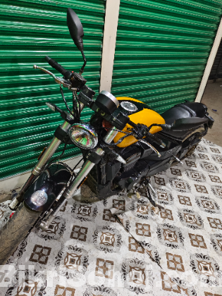 Regal Raptor Pilder 160